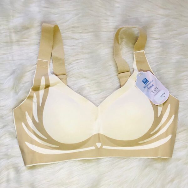 Premium Quality Push Up Bra